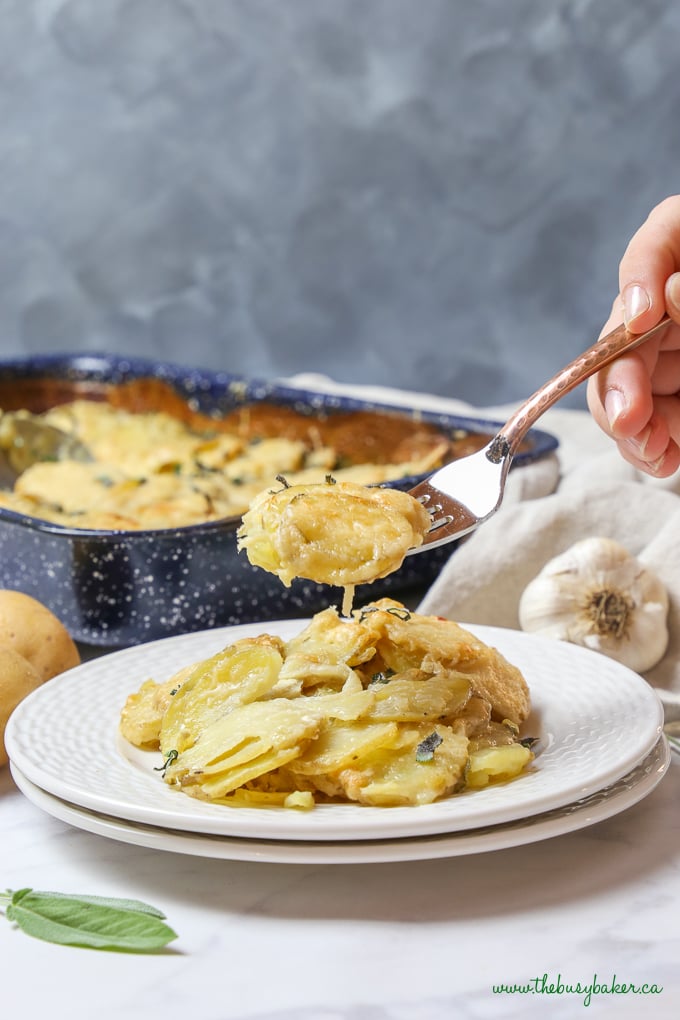 Easy Homemade Potato Gratin