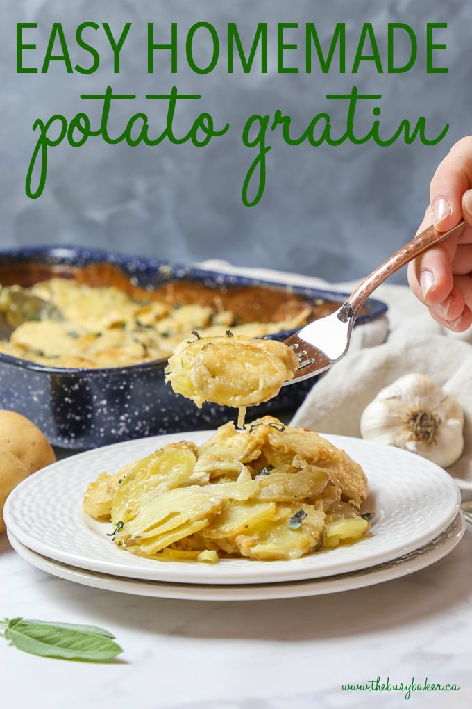 Easy Homemade Potato Gratin