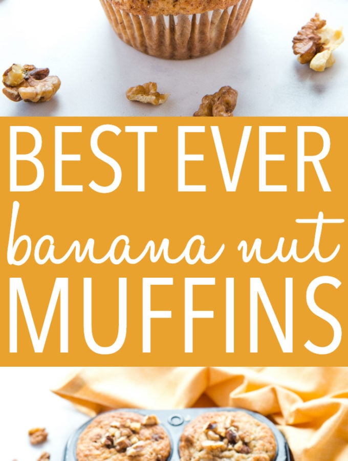 Best Ever Banana Nut Muffins {Easy Muffin Recipe} The Busy Baker