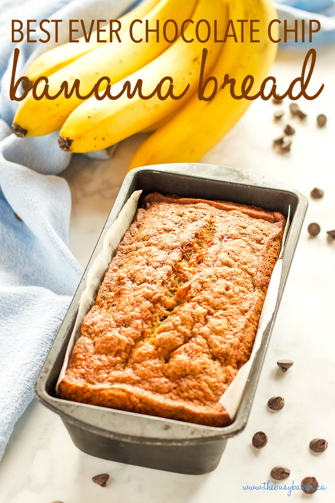 Best Ever Chocolate Chip Banana Bread