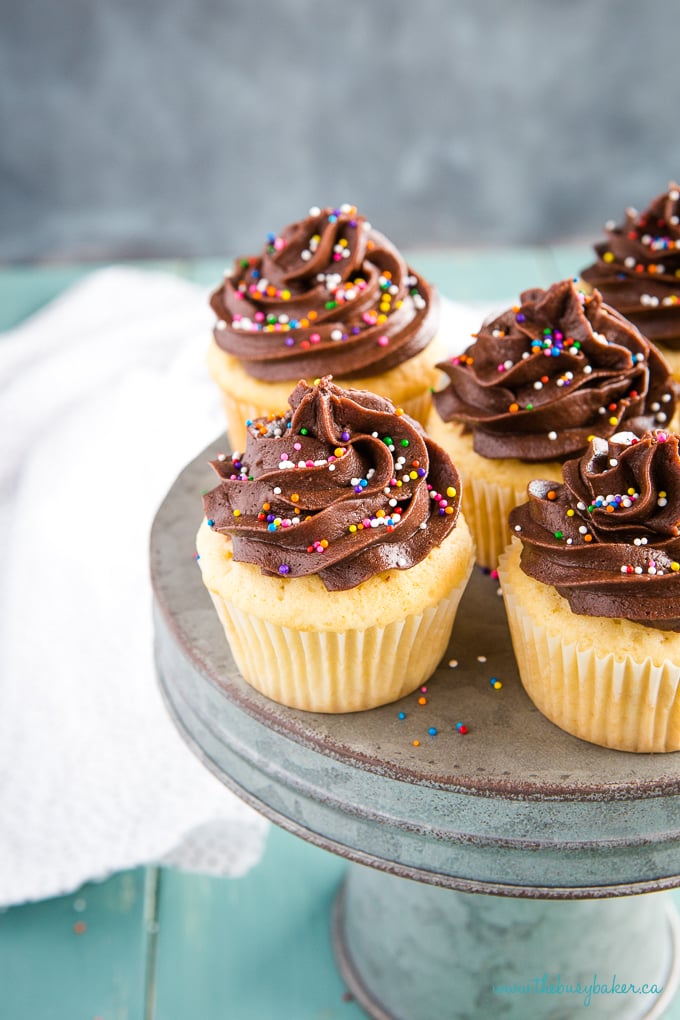 yellow Birthday Cake Cupcakes with Chocolate Frosting and sprinkles