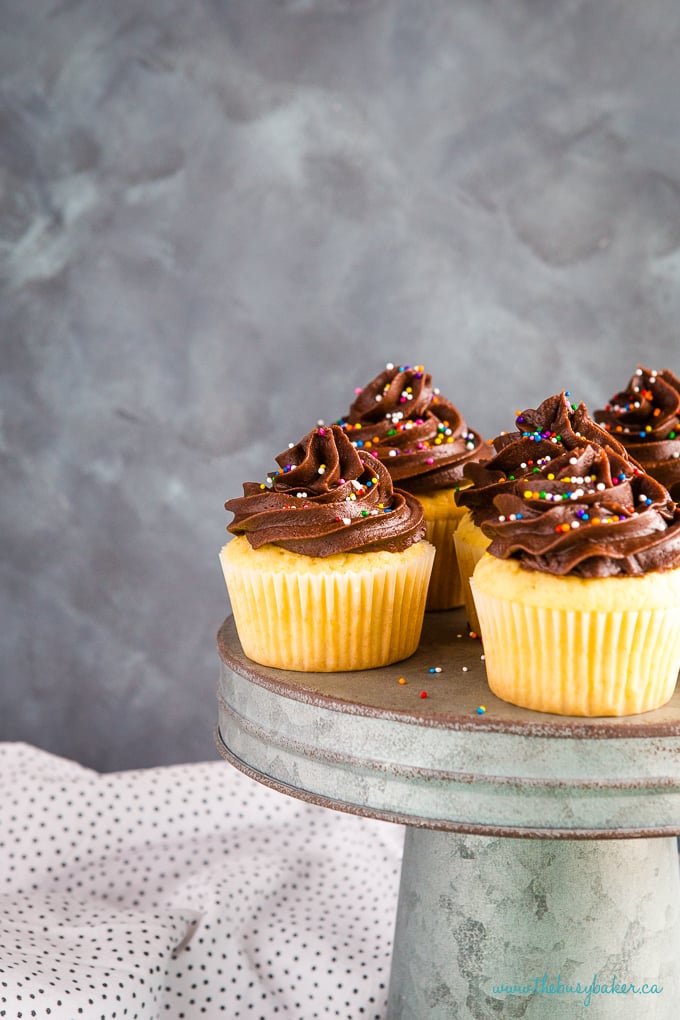 Birthday Cake Cupcakes with Chocolate Frosting on tin cake stand with sprinkles