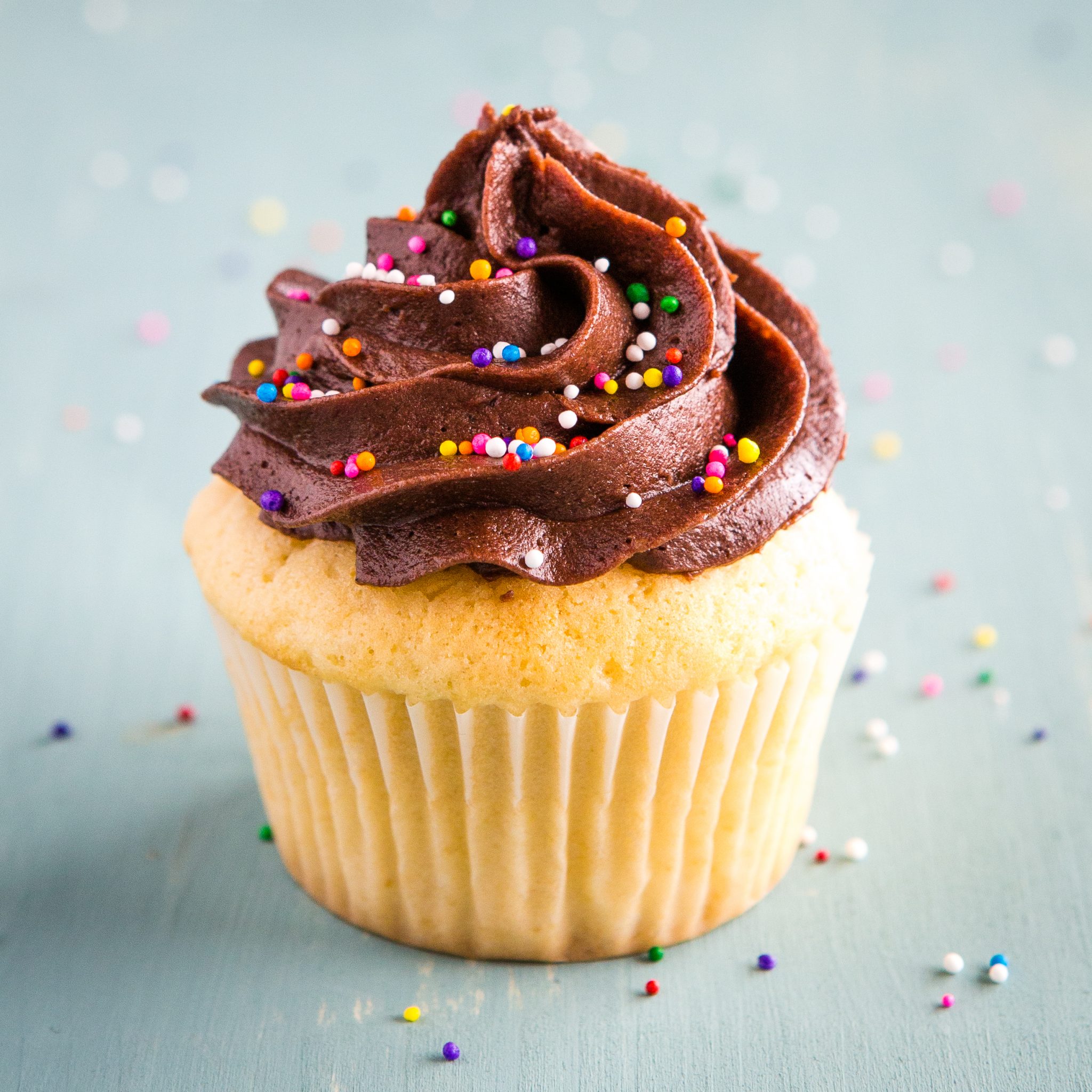 vanilla cupcakes with chocolate frosting