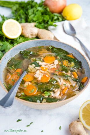 Crock Pot Lemon Ginger Chicken Soup - The Busy Baker