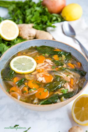 Crock Pot Lemon Ginger Chicken Soup - The Busy Baker