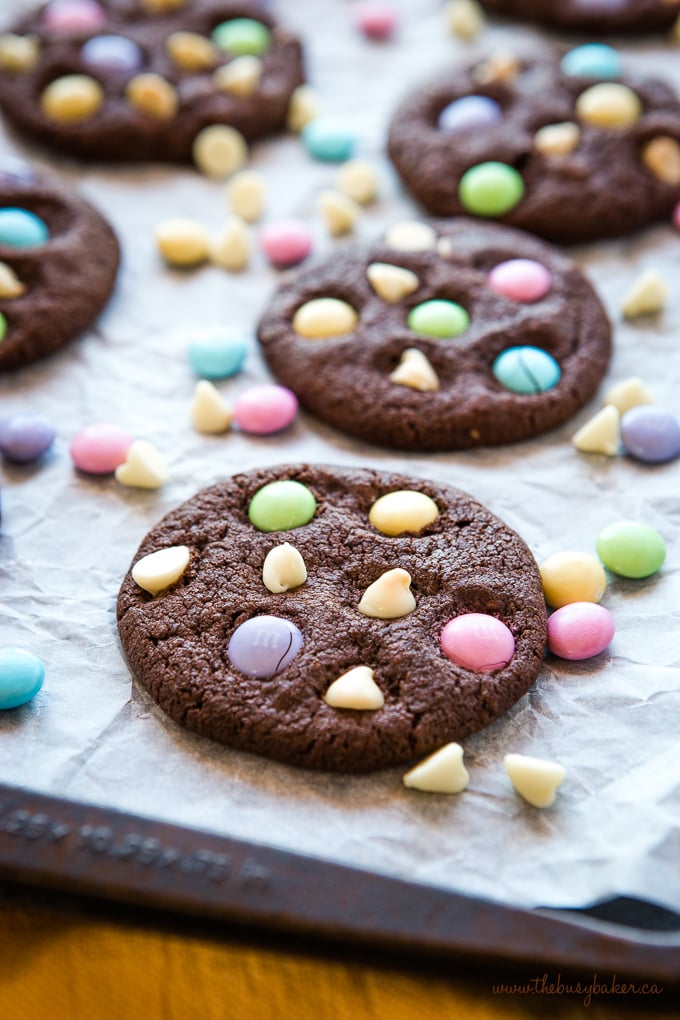 These Easter Double Chocolate Cookies are the perfect fun and easy Easter treat! Crispy on the outside, chewy on the inside, and packed with candy-coated chocolate and white chocolate! Easter Double Chocolate Cookies with Spring M&Ms on baking sheet