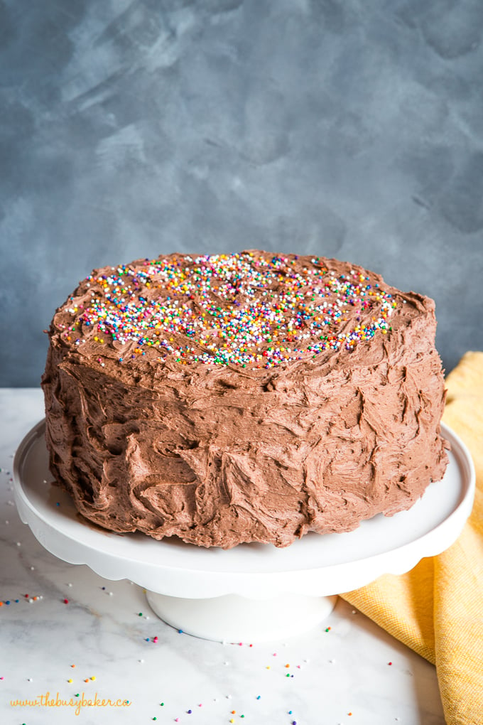 Banana Birthday Cake with Chocolate Frosting - The Busy Baker