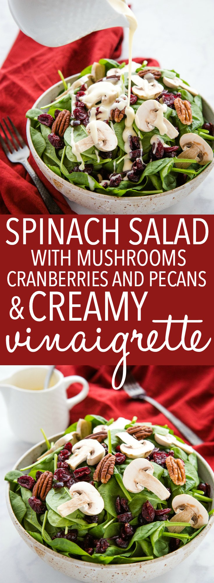 This Spinach Salad with Creamy Vinaigrette is a delicious side dish packed with healthy greens, mushrooms, sweet dried cranberries and pecans! Under 90 calories per serving! Recipe from thebusybaker.ca! #salad #spinach #healthy #vinaigrette #homemade #sidedish #thanksgiving #summer #holiday #mushrooms #pecans via @busybakerblog