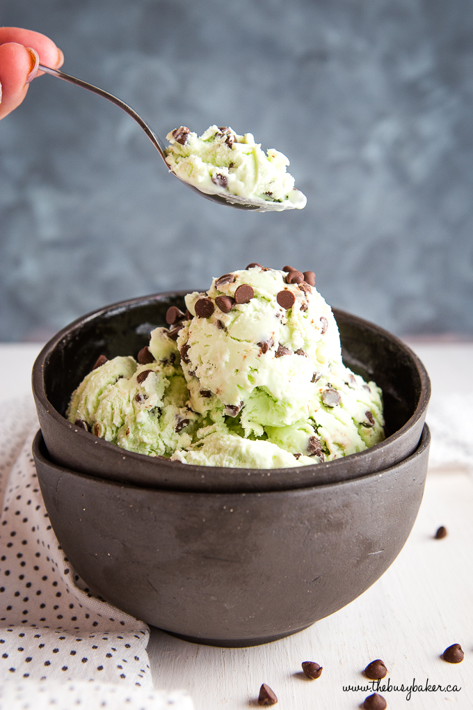 Mint Chocolate Chip Ice Cream in black bowl on spoon