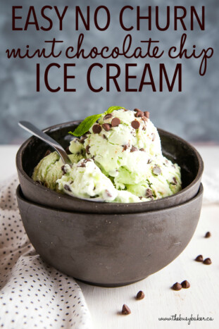 Easy No Churn Mint Chocolate Chip Ice Cream - The Busy Baker