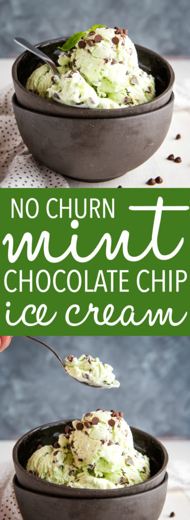 Pinterest image of No Churn Mint Chocolate Chip Ice Cream