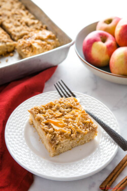 Caramel Apple Streusel Cake {Easy Fall Dessert} - The Busy Baker