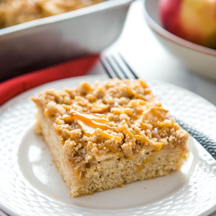 Caramel Apple Streusel Cake {Easy Fall Dessert} - The Busy Baker