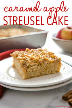 Caramel Apple Streusel Cake {Easy Fall Dessert} - The Busy Baker