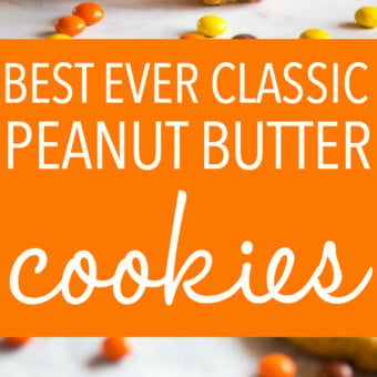 Best Ever Peanut Butter Cookies - The Busy Baker