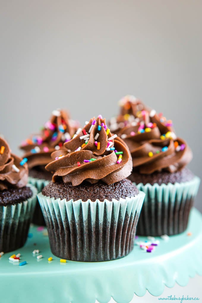 chocolate dessert cakes with swirls of chocolate buttercream on top