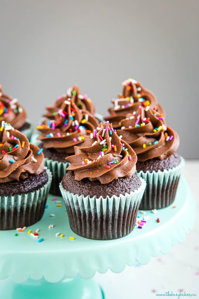 chocolate cupcakes with swirls of chocolate buttercream frosting and sprinkles on turquoise cake stand