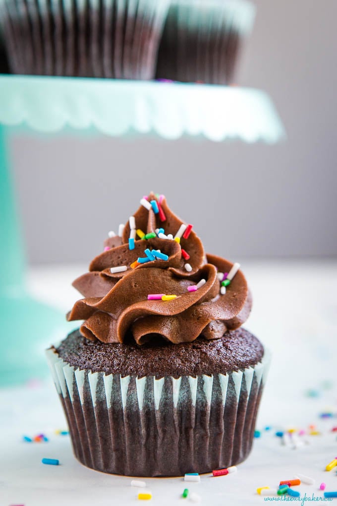 birthday dessert with chocolate frosting and sprinkles