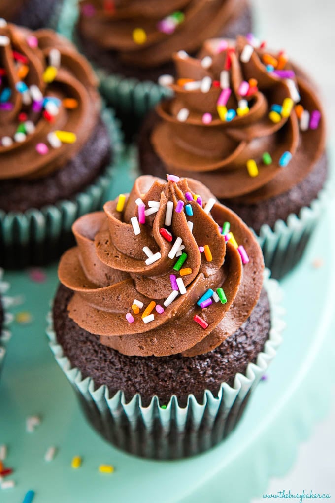 Chocolate Frosted Cupcakes with sprinkles 