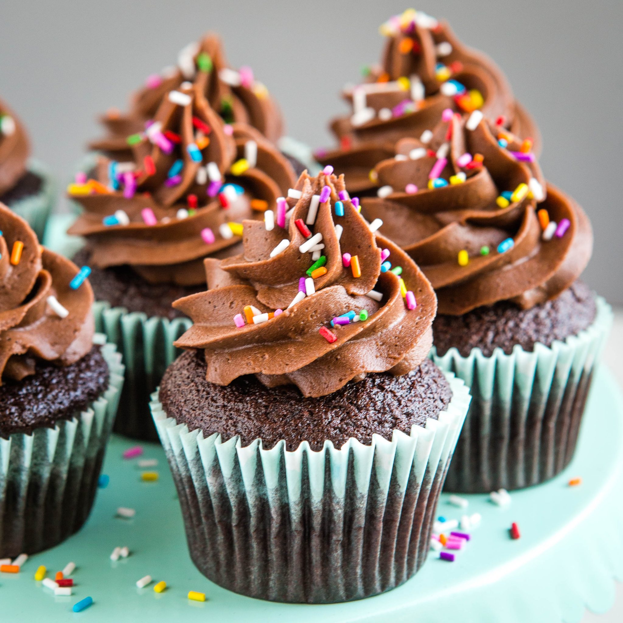 List 91+ Pictures pictures of chocolate cupcakes Updated