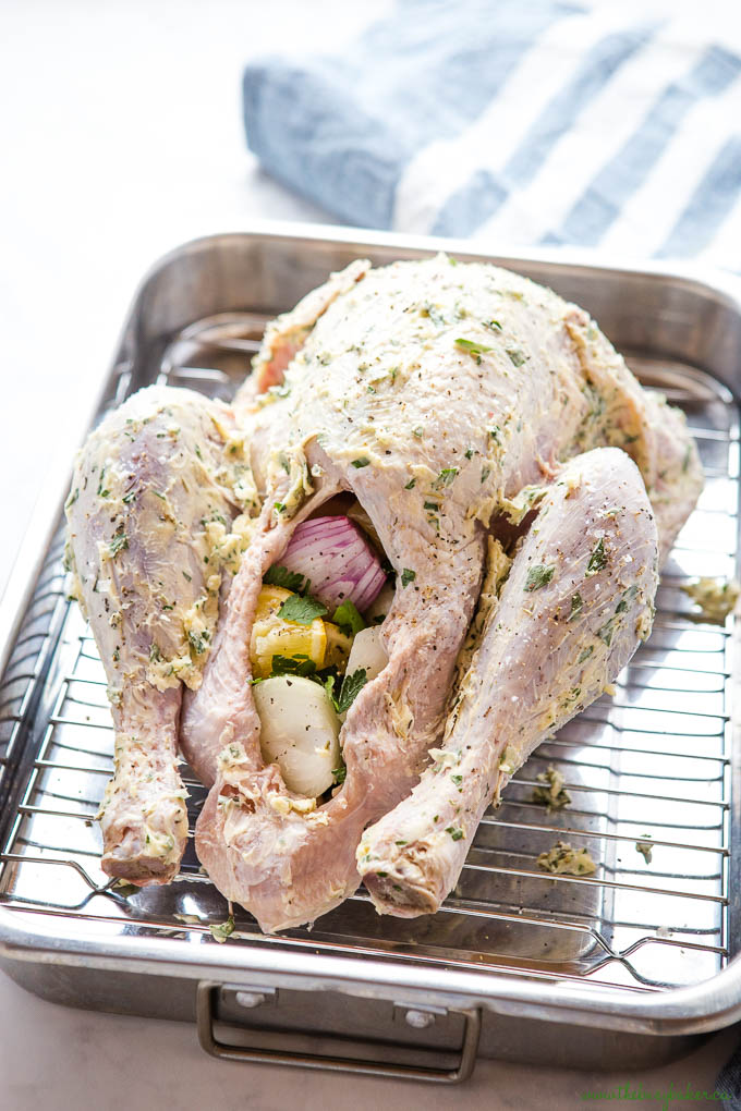 Raw turkey ready for roasting in roasting pan
