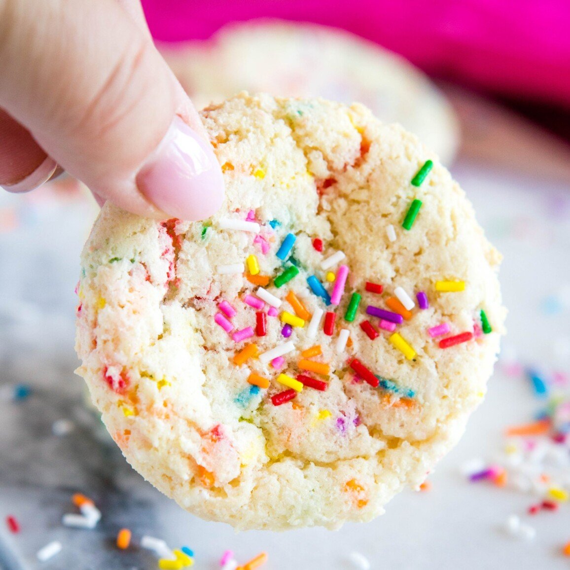 Easy Funfetti Sugar Cookies (no chilling or rolling) The Busy Baker
