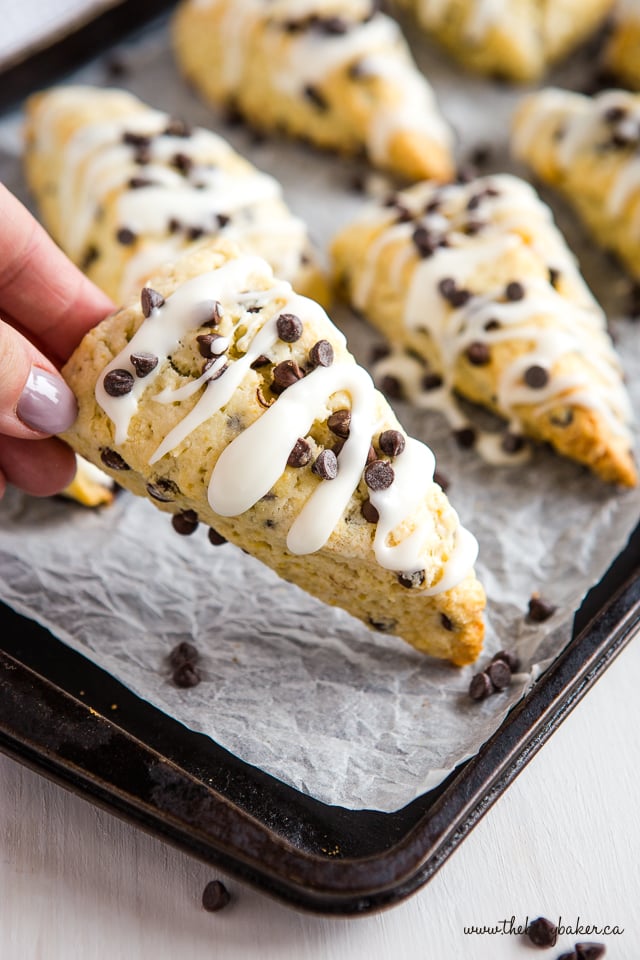 Mini Chocolate Chip Scones  If You Give a Blonde a Kitchen