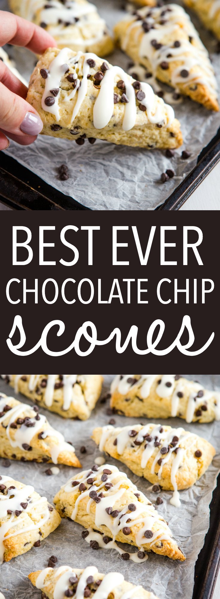 These Best Ever Chocolate Chip Scones are the perfect snack or dessert to enjoy with coffee or tea, and they're SO easy to make for beginning bakers! Packed with mini chocolate chips and topped with a simple sweet glaze! Recipe from thebusybaker.ca! #scones #chocolatechip #baking #easyrecipe #british #tea #snack #biscuits via @busybakerblog