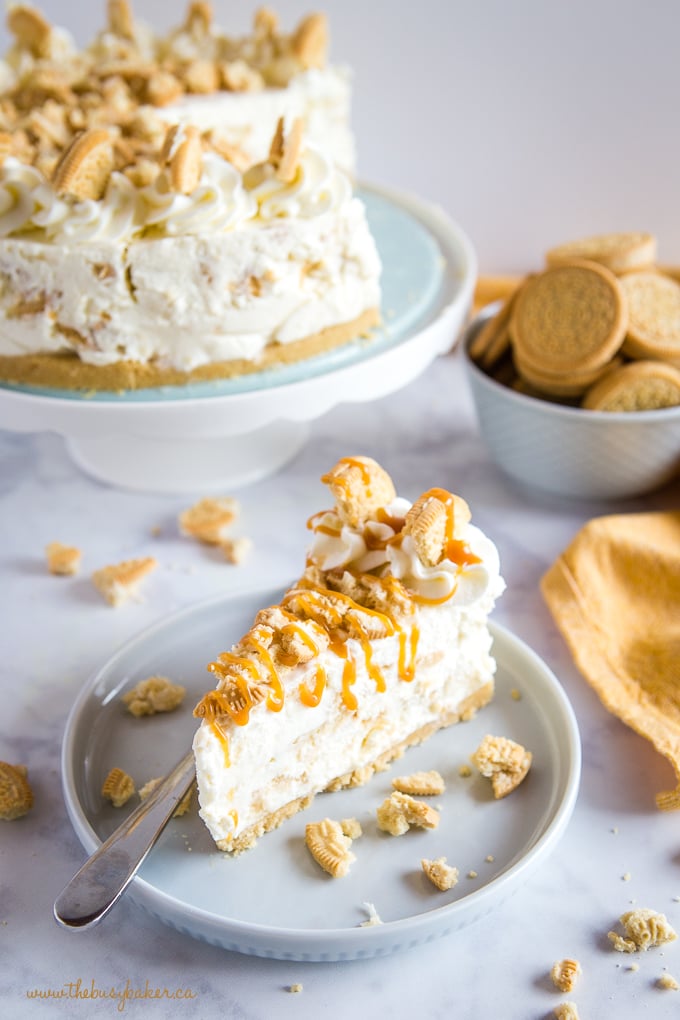 beautifully decorated no bake cheesecake made with Golden Oreo cookies