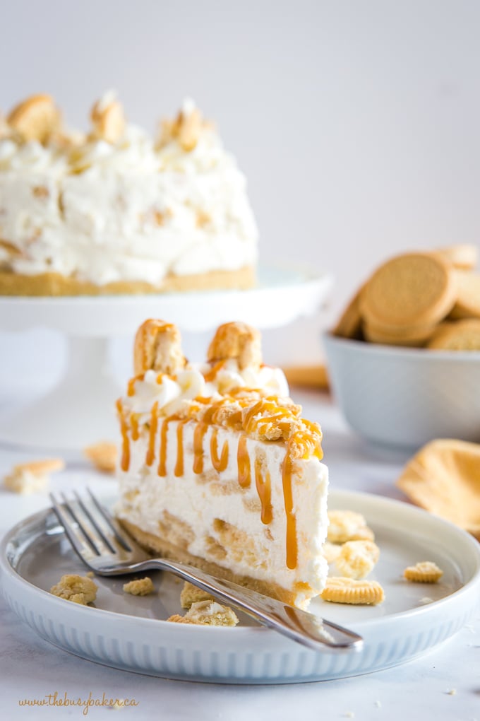 slice of vanilla oreo cheesecake on white plate with a fork