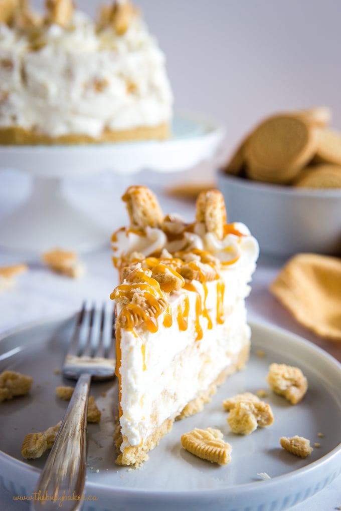 plated slice of no-bake cheesecake