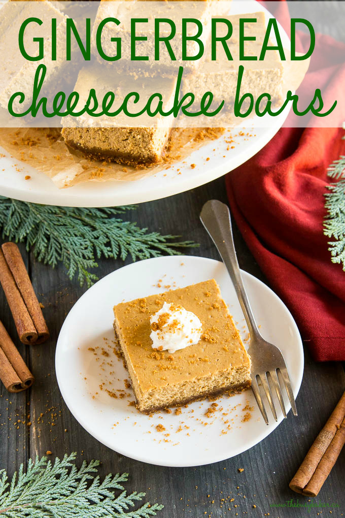 gingerbread cheesecake bars
