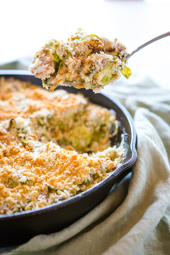 spoonful of brussels sprouts gratin