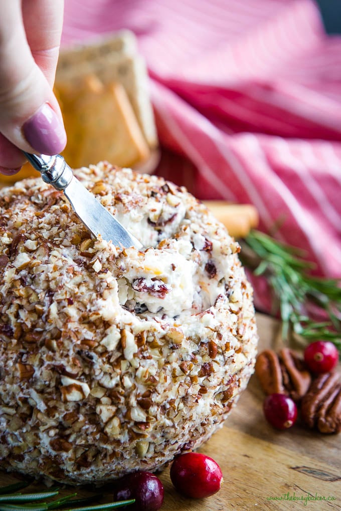Cheese Ball with cranberries and pecans