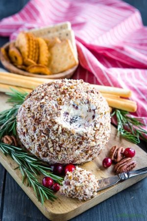 Cranberry Pecan Cheese Ball {Appetizer} - The Busy Baker