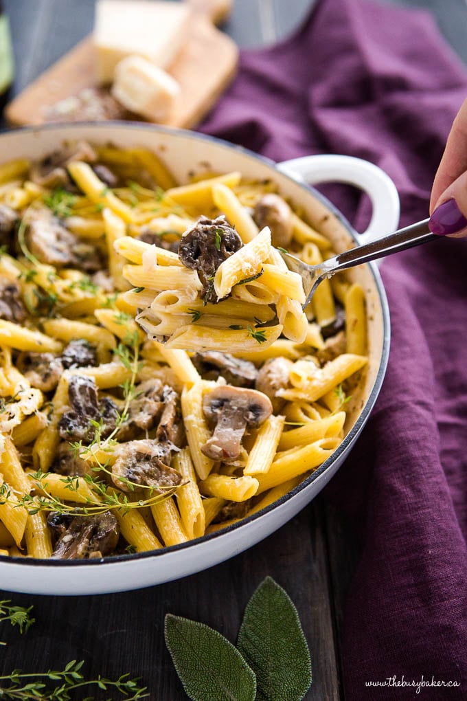 serving of creamy mushroom pasta on spoon