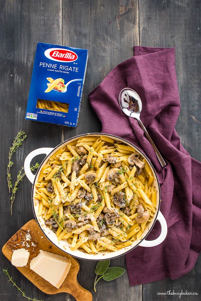 Creamy Champagne Mushroom Pasta with Penne and herbs