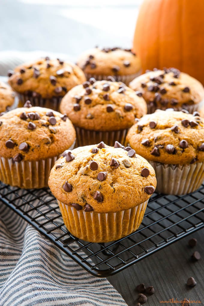 pumpkin chocolate chip muffins on cooling rack