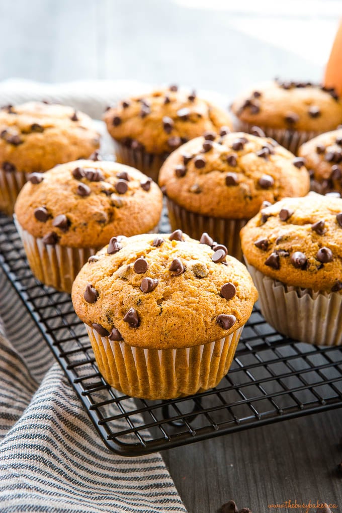 pumpkin chocolate chip muffins on black cooling rack