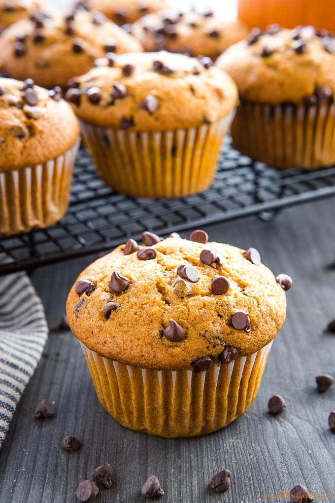 large domed top on a muffin topped with chocolate chips