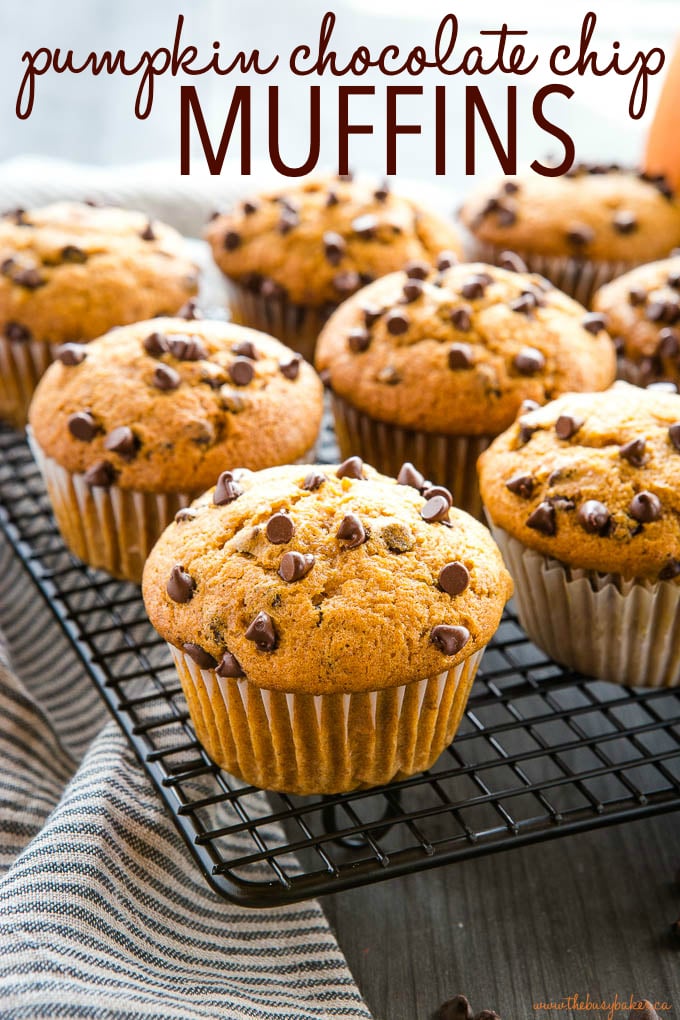 titled photo (and shown) pumpkin chocolate chip muffins (on a wire cooling rack)