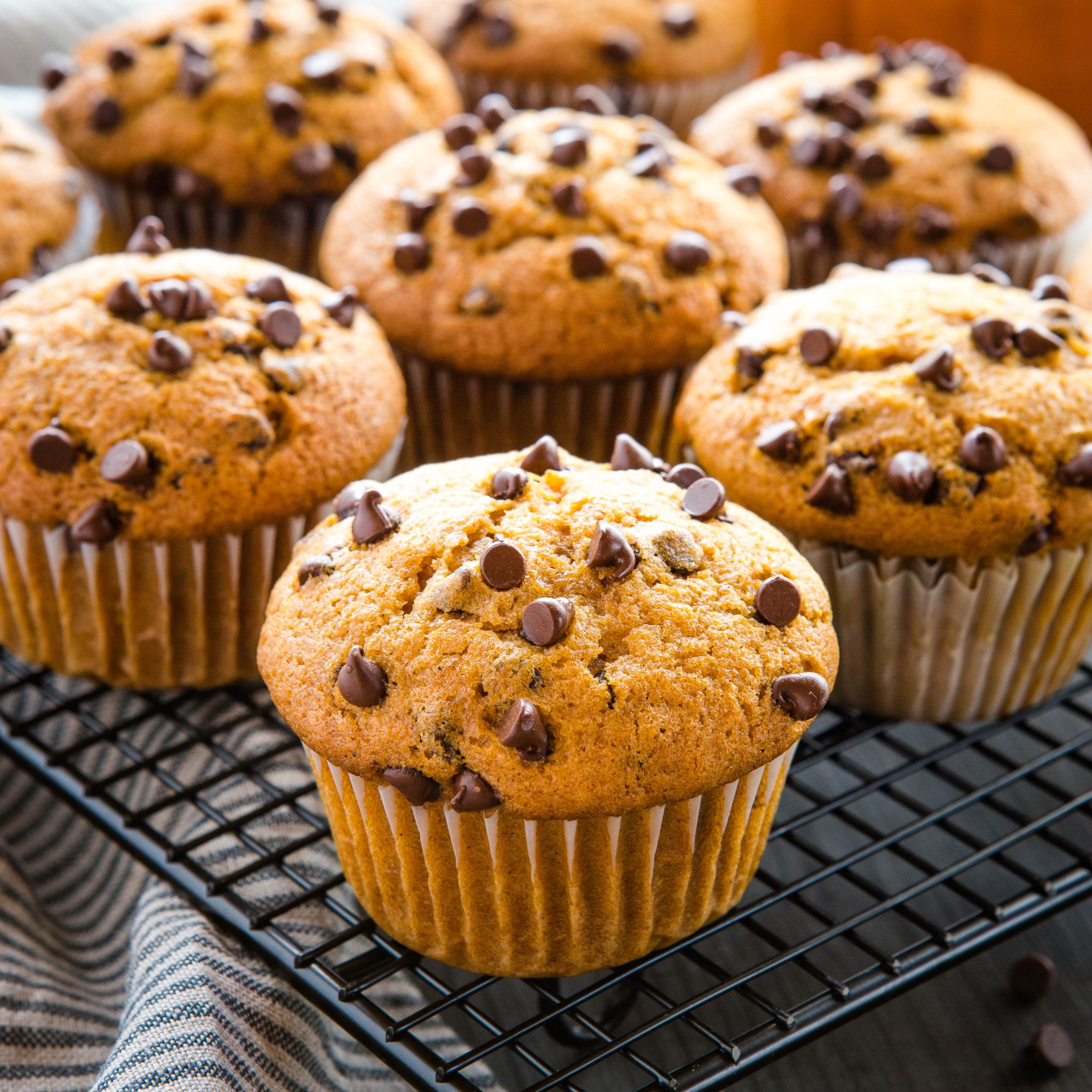 batch of homemade chocolate chip pumpkin muffins on a wire cooling rack