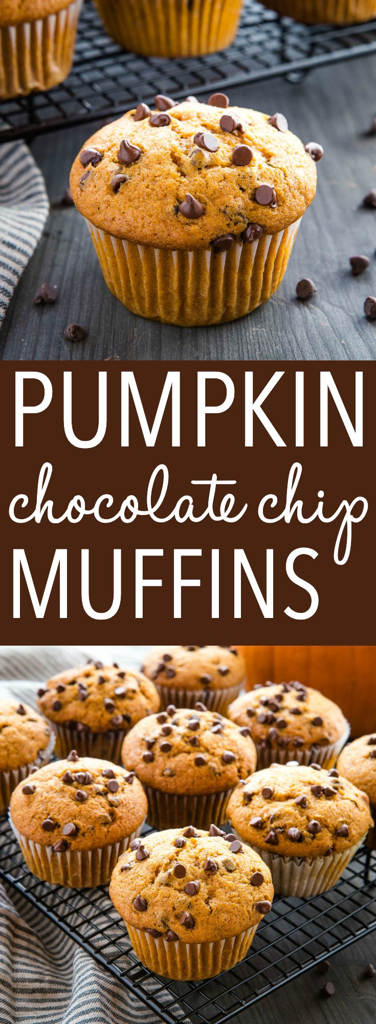 Chocolate chip pumpkin muffins are the perfect sweet snack. Light, fluffy and full of real pumpkin and chocolate! Make this simple muffin recipe in one bowl! Recipe from thebusybaker.ca! #pumpkin #chocolatechip #muffins #baking #homebaking #fall #winter #easyrecipe #coffeebreak via @busybakerblog