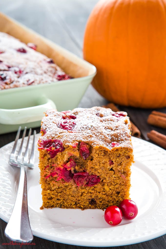 easy pumpkin cranberry cake on white plate with fresh cranberries