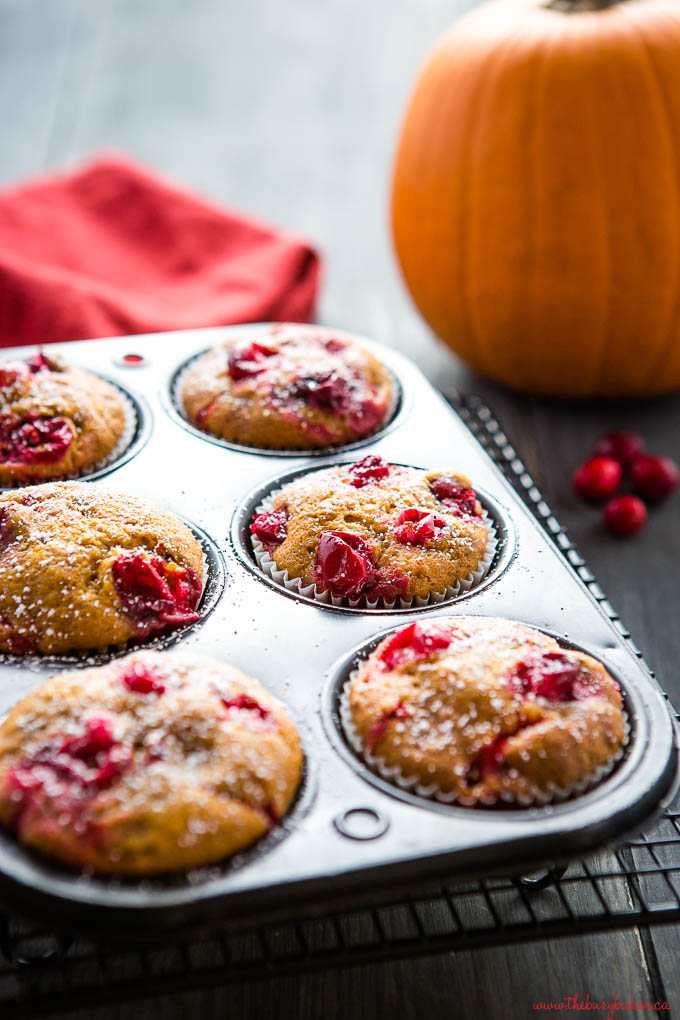 pumpkin cranberry muffins with fresh cranberries