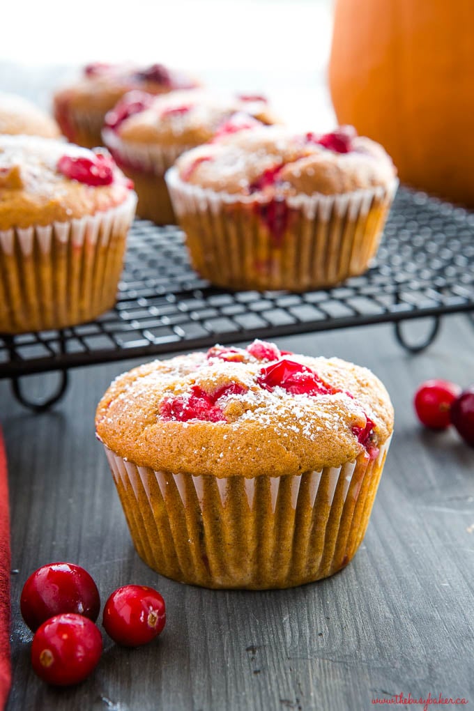 pumpkin cranberry muffin with powdered sugar