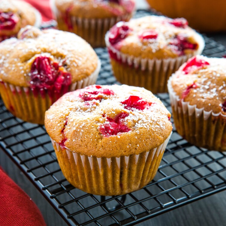 Pumpkin Cranberry Muffins {Easy Muffin Recipe} - The Busy Baker