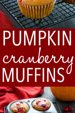 Pumpkin Cranberry Muffins {Easy Muffin Recipe} - The Busy Baker