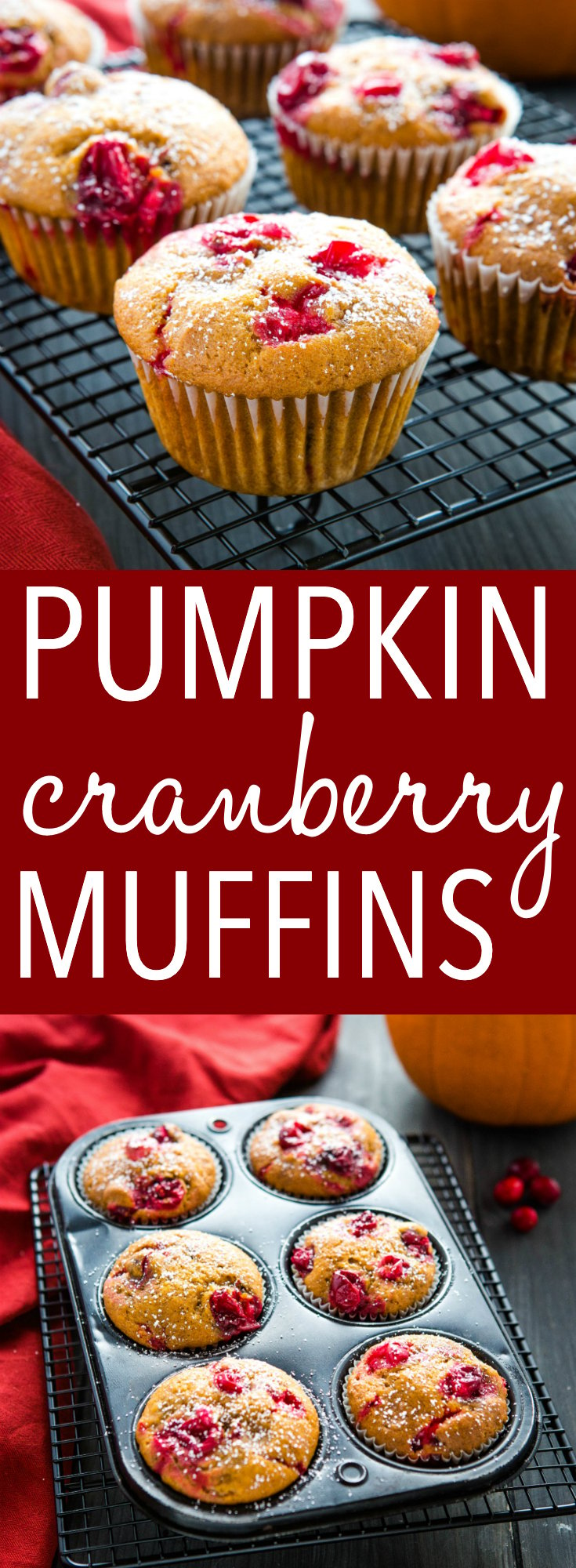 These Pumpkin Cranberry Muffins are the perfect easy fall or winter dessert! An easy one-bowl pumpkin muffin batter with fresh cranberries, these cranberry muffins are moist and flavourful and topped with a dusting of powdered sugar! Recipe from thebusybaker.ca! #muffins #pumpkin #cranberries #dessert #easytomake #onebowl #simplerecipe via @busybakerblog