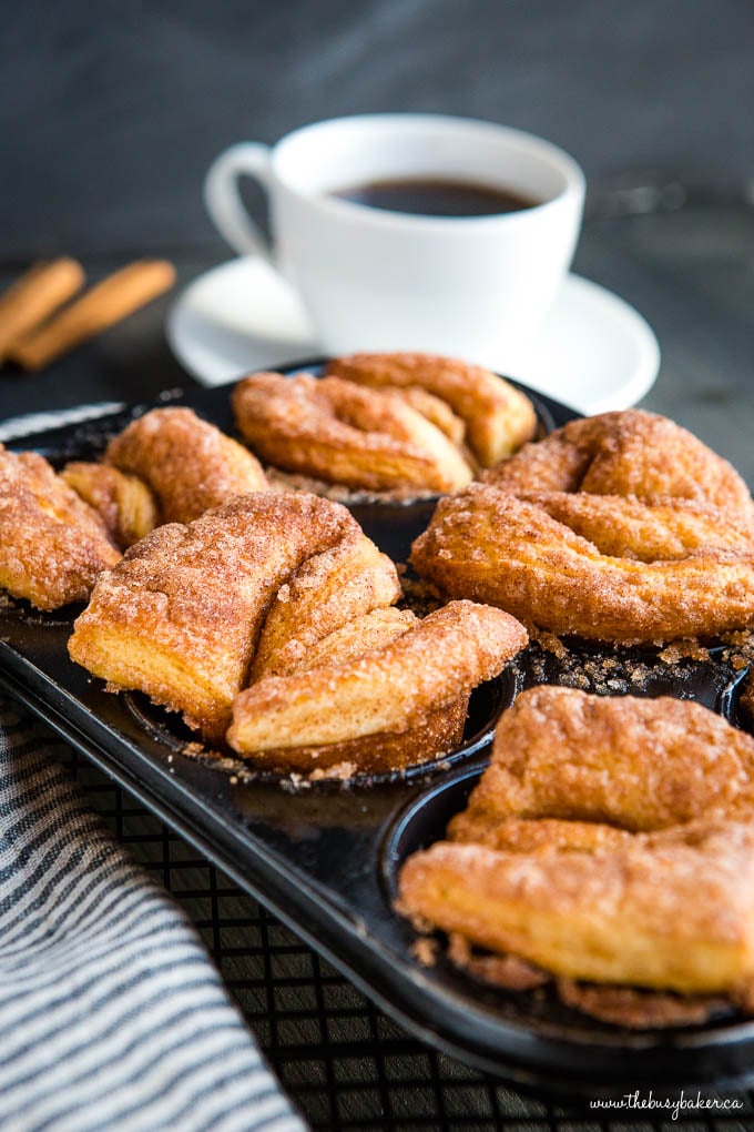 Cinnamon Twists Easy Breakfast Pastries The Busy Baker 